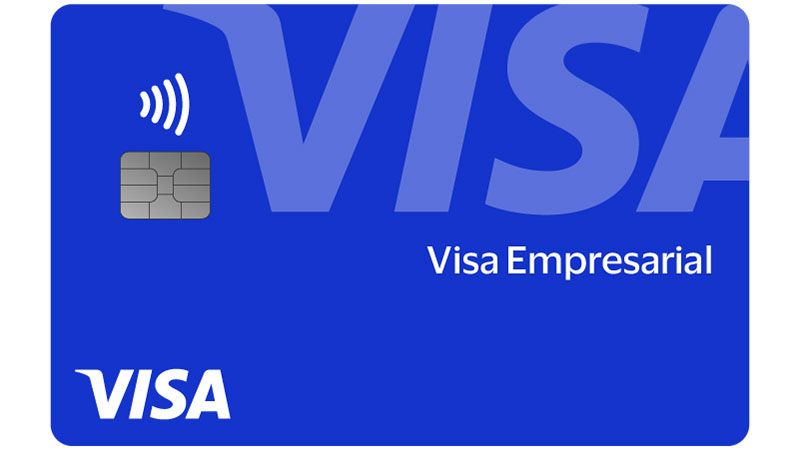 Informações para Pequenos Negócios | Visa